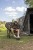 Stolica Nash Bank Life Moon Chair Camo