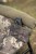 Stolica Nash Bank Life Moon Chair Camo