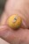 Stoperi za Pelete Korum Smokescreen Pellet Stops