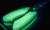 Svijetleće škare RidgeMonkey Nite Glow Heavy Duty Snips