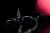 Svrdlo s prstenom RidgeMonkey Hook Ring Bait Screws