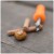 Svrdlo UnderCarp Bait Drill 6mm