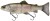 Swimbait Savage Gear 3D Line Thru Trout 25cm 193g Clear Rainbow Trout