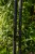 Teleskopska drška za podmetač Korum Allrounder Telescopic Handle