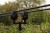 Titanijska ruka Fox Black Label Titanium Quiver Arms