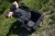 Torba Black Cat BLCK Holdall