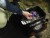 Torba Delphin EvaSPIN Walk L
