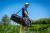 Torba Guru Team Guru XL Carryall