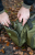 Torba Korum Progress Compact Carryall 25l