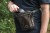 Torba Nash Scope Security Pouch