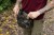 Torba za Boilies Korda Compac Boilie Caddy Dark Kamo