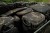 Torba za Buzz Bar Korda Compac Buzz Bar Bag Dark Camo