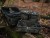Torbica za Olova i PVA-Lead Giants Fishing Multi Bag