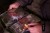 Torbica za pribor ESP Bits Bag Camo