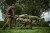 Transportna kolica Trakker X-Trail Compact Barrow