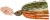 Trepka Illex Crazy Crusher Jr. 7 10,2gr Magic Pumpkin Craw