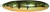 Trepka Plandavka Rapala Minnow Spoon 10cm 32gr FLP