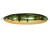 Třpytka Plandavka Rapala Minnow Spoon 7cm 15gr FLP