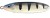 Třpytka Plandavka Rapala Minnow Spoon 7cm 15gr SH