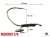 Udica Hell-Cat Hook Live Bait Catfish