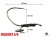 Udica Hell-Cat Hook Live Bait Catfish