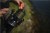 Upredenica Avid Carp Extremity Marker Braid