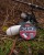 Upredenica Spomb XD Pro Braid 300m 0,14mm 16lb