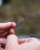 Upredenica za predveze Fox Edges Naturals Splice Hooklength 20m 50lb