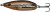 Varalica Abu Garcia Shaky Spoon 5,5cm 10gr