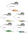 Varalica Daiwa Prorex Micro Spinnerbait Fish TG 10 5,3gr