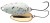 Varalica Plandavka Daiwa Presso MVR 2,8cm 2,4gr