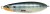 Varalica Rapala Rattlin Minnow Spoon 8cm 16gr