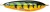 Varalica Rapala Rattlin Minnow Spoon 8cm 16gr