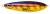 Varalica Rapala Rattlin Minnow Spoon 8cm 16gr