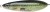 Varalica Rapala Rattlin Minnow Spoon 8cm 16gr