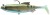 Vláčecí Nástraha S Háčkem Daiwa Prorex Lazy Roach 16cm Green Bleak RD