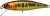 Vobler Illex Tiny Fry 3,8cm 1,5gr Gold Trout