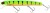 Vobler Westin Jätte Crankbait 23cm 101g Plutajući Chartreuse Flow