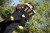 Vodootporne čarape Black Cat Cat Shield Waterproof Socks