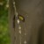 Vodootporni komplet Avid Revolve Waterproof Suit