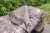 Vodootporni prekrivač za ležaljku Nash Indulgence Waterproof Bedchair Cover Camo