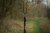 Vrtna Vilica Black Cat Drill Spike Bank Stick