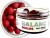 Vybalansirani Boilies LK Baits Balanc Spice Shrimp 14mm 100ml