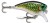 Wobbler Rapala BX Big Brat 06 7cm 21gr PKL Wobbler Rapala BX Big Brat 06 7cm 21gr PKL