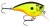 Wobbler Rapala BX Brat 03 5cm 10gr CSD