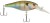 Wobler Berkley Bad Shad Floating 5cm 7gr NAT BLUGIL