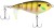 Wobler Berkley Choppo FL 7,5cm 14gr MF Bluegill Wobler Berkley Choppo FL 7,5cm 14gr MF Bluegill