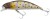 Wobler Berkley DEX Bullet Jerk 5cm 3,7gr Brook Trout Wobler Berkley DEX Bullet Jerk 5cm 3,7gr Brook Trout