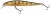Wobler Berkley DEX Stunna 80 8cm 5,4g Ghost Perch