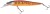 Wobler Berkley DEX Stunna 80Plus1 8cm 5,6g Ember
